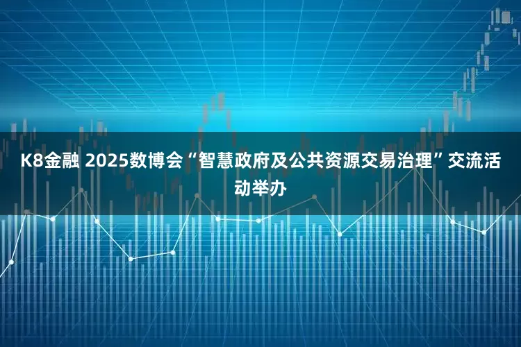 K8金融 2025数博会“智慧政府及公共资源交易治理”交流活动举办