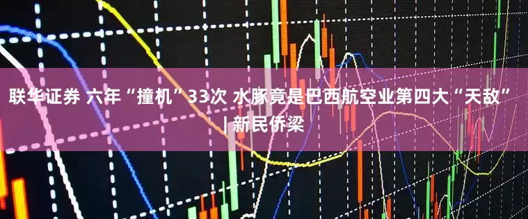 联华证券 六年“撞机”33次 水豚竟是巴西航空业第四大“天敌” | 新民侨梁